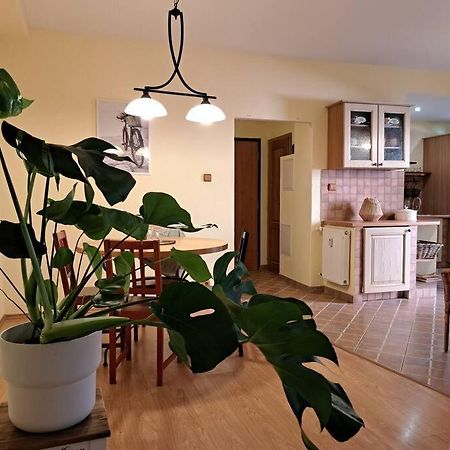 Home In The Heart Of The City Bratislava Extérieur photo